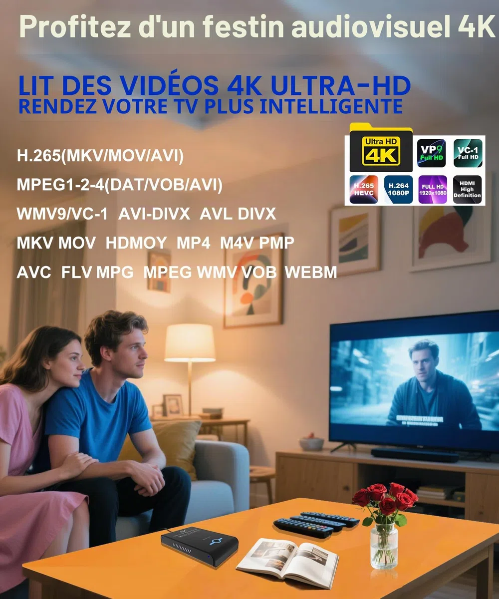 Lecteur multimédia 4K Ultra HD et boîtier HDD 2 en 1 : Lecture H.265/HEVC, H.264/AVC MP4, vidéos MKV, Musique MP3, Photos JPG, HDMI 4K, AV analogique, Prend en Charge 2", 2,5